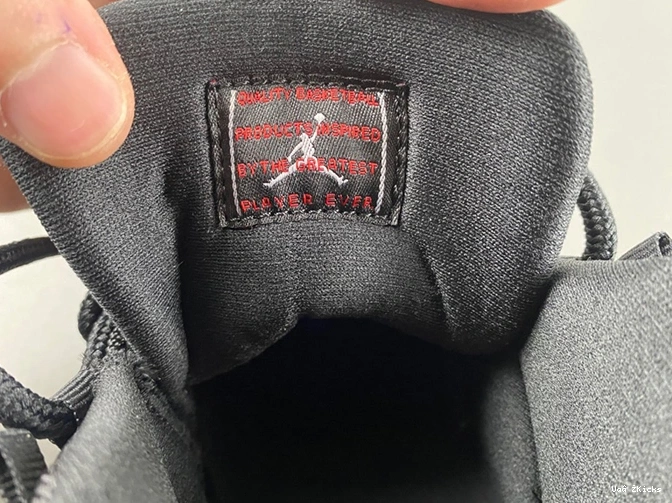 Air Cozy 11 Jordan 670 1822 378037 - 0723
